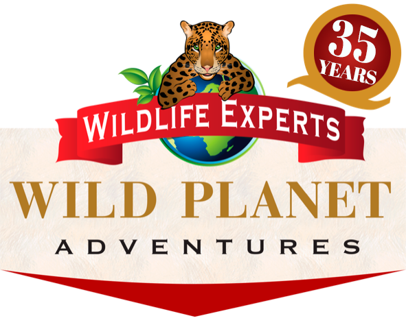 Wild Planet Adventures